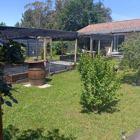La Cazaline Bed & Breakfast La Teste-de-Buch Ngoại thất bức ảnh